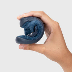 HOMIE ESPACIO MARINO PAPE